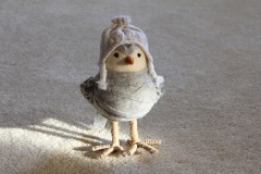 Toy Bird
